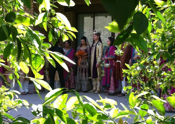 Indian wedding party